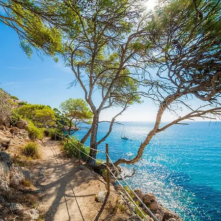 Oro Del Mar Iv 01